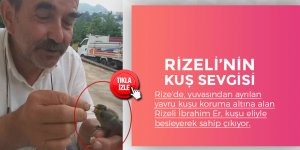 Rizeli'nin kuş sevgisi böyle olur