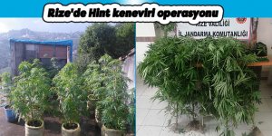 Rize'de Hint keneviri operasyonu