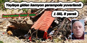 Yaylaya giden kamyon şarampole yuvarlandı: 1 ölü, 8 yaralı