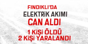 Fındıklı'da elektrik akımı can aldı: 1 ölü 2 yaralı