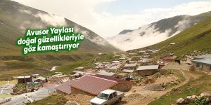 Avusor Yaylası doğal güzellikleriyle göz kamaştırıyor