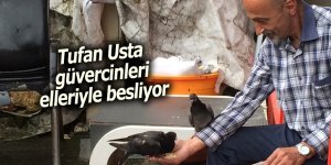 Tufan Usta güvercinleri elleriyle besliyor