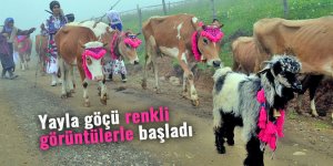 Yayla göçü renkli görüntülerle başladı