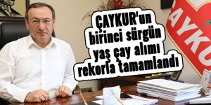 ÇAYKUR'un birinci sürgün yaş çay alımı rekorla tamamlandı