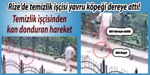 Rize’de temizlik işçisi yavru köpeği dereye attı!