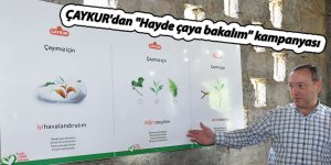 ÇAYKUR'dan "Hayde çaya bakalım" kampanyası