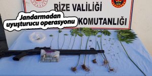 Rize'de jandarmadan uyuşturucu operasyonu