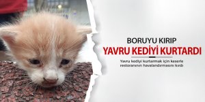 Boruyu kırıp kedi yavrusunu kurtardı!