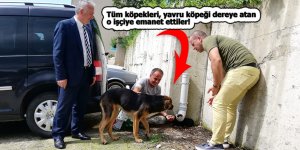 Tüm köpekleri, yavru köpeği dereye atan işçiye emanet ettiler!