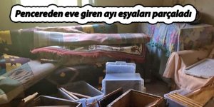 Pencereden eve giren ayı eşyaları parçaladı