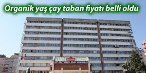 Organik yaş çay taban fiyatı belli oldu