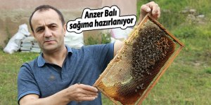 Anzer Balı sağıma hazırlanıyor