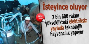 2 bin 600 rakım yükseklikteki elektriksiz yaylada teknolojik hayvancılık