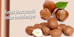 Fındık ihracatında rekor hedefleniyor