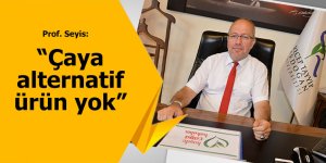 Prof. Seyis: "Çaya alternatif ürün olamaz"