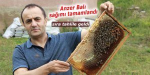 Anzer Balı sağımı tamamlandı, sıra tahlile geldi