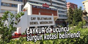 ÇAYKUR'da üçüncü sürgün kotası belirlendi