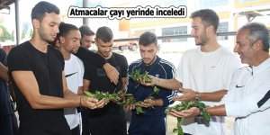 Atmacalar çayı yerinde inceledi