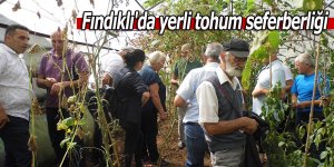 Fındıklı'da yerli tohum seferberliği