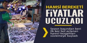 Hamsi bollaşınca kilogram fiyatı 15 TL'den 5-10 TL'ye düştü