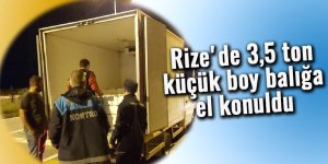 Rize'de 3,5 ton küçük boy balığa el konuldu