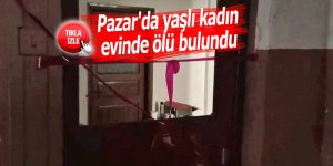 Pazar'da yaşlı kadın evinde ölü bulundu