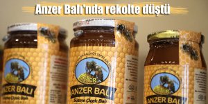 Anzer Balı'nda rekolte düştü