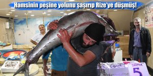 Hamsinin peşine yolunu şaşırıp Rize’ye düşmüş