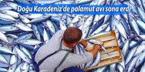Doğu Karadeniz'de palamut avı sona erdi