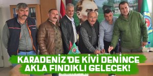 Karadeniz’de kivi denince akla Fındıklı gelecek!