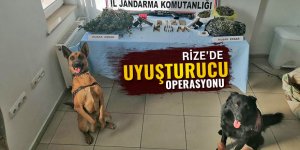 Rize'de uyuşturucu operasyonu