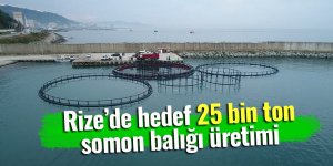 Rize'de hedef 25 bin ton somon balığı üretimi