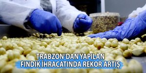 Trabzon’dan yapılan fındık ihracatında rekor artış