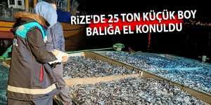 Rize'de 25 ton küçük boy balığa el konuldu