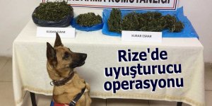 Rize'de uyuşturucu operasyonu