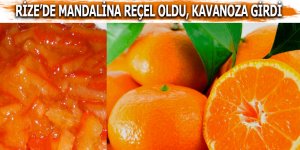 Mandalina reçel oldu, kavanoza girdi