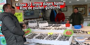 Kilosu 10 liraya düşen hamsi Rize'de yüzleri güldürdü