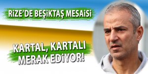 Kartal, kartalı merak ediyor!