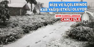 Rize ve ilçelerinde kar yağışı etkili oluyor CANLI İZLE