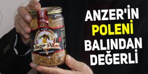 Anzer'in Poleni balından değerli