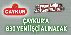 Çaykur'a 830 yeni işçi alınacak