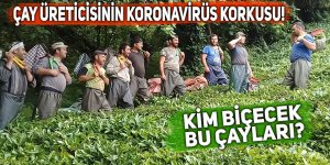 Çay üreticisinin koronavirüs korkusu!