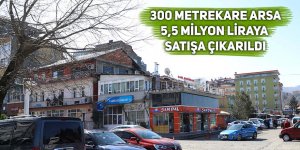 300 metrekare arsa 5,5 milyon liraya satışa çıkarıldı