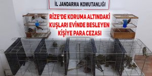 Rize'de koruma altındaki kuşları evinde besleyen kişiye 47,3 bin lira ceza