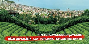 Rize'de valilik, çay toplama toplantısı yaptı!