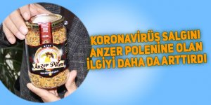 Koronavirüs salgını Anzer Poleni'ne ilgiyi arttırdı