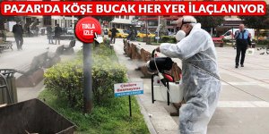 Pazar'da köşe bucak her yer ilaçlanıyor