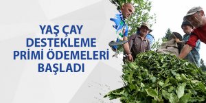 Yaş çay destekleme primleri ödeniyor