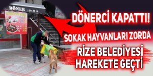 Lokantalar kapandı köpekler aç kaldı!