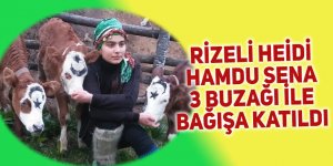 Rizeli Heidi 3 buzağı ile bağışa katıldı